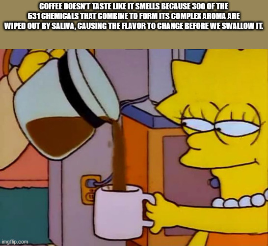 simpsons meme template - Coffee Doesn'T Taste It Smells Because 300 Of The 631 Chemicals That Combine To Form Its Complex Aroma Are Wiped Out By Saliva, Causing The Flavor To Change Before We Swallow Il imgflip.com