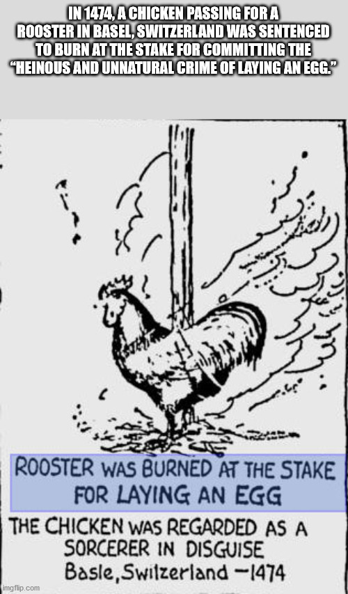 cartoon - In 1474, A Chicken Passing For A Rooster In Basel, Switzerland Was Sentenced To Burn At The Stake For Committing The "Heinous And Unnatural Crime Of Laying An Egg." Rooster Was Burned At The Stake For Laying An Egg The Chicken Was Regarded As A 