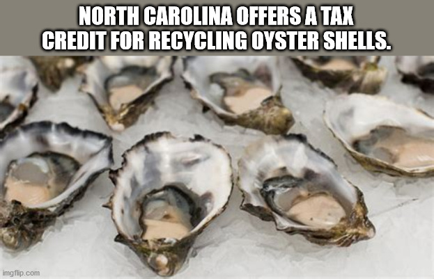 North Carolina Offers A Tax Credit For Recycling Oyster Shells. imgflip.com