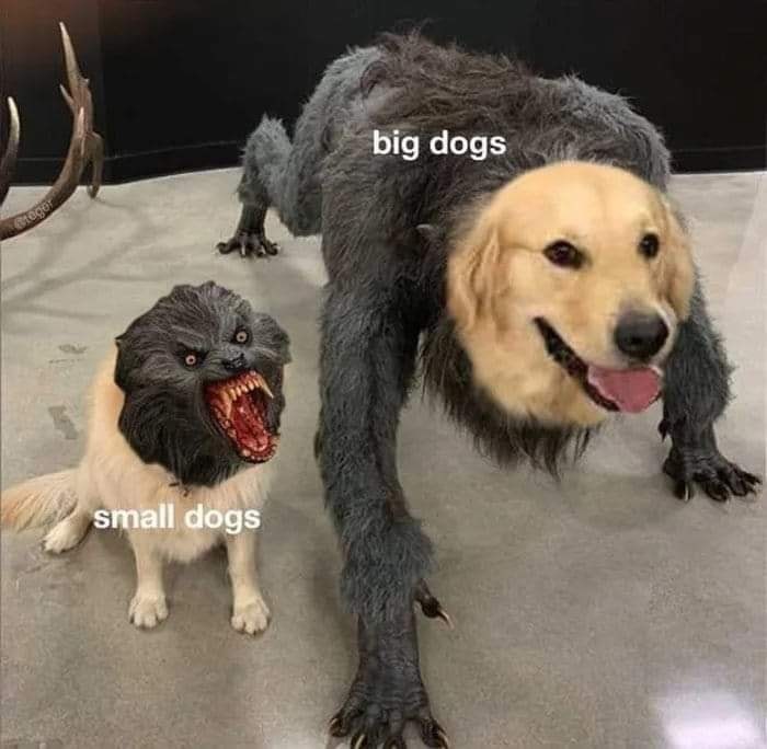 dog wolf meme template - big dogs Gregor small dogs