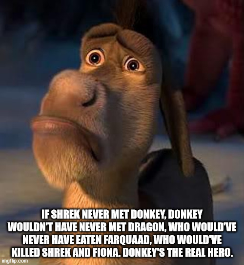 shrek donkey sad - If Shrek Never Met Donkey, Donkey Wouldn'T Have Never Met Dragon, Who Would'Ve Never Have Eaten Farquaad, Who Would'Ve Killed Shrek And Fiona. Donkey'S The Real Hero. Www imgflip.com