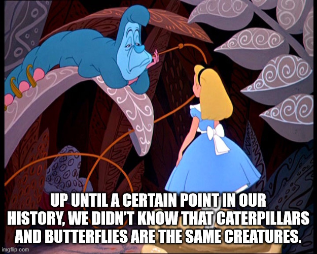 alice in wonderland scenes - Up Until A Certain Point In Our History, We Didn'T Know That Caterpillars And Butterflies Are The Same Creatures. imgflip.com