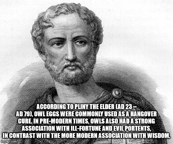 pliny the elder - According To Pliny The Elder Ad 23 Ad 79, Owl Eggs Were Commonly Used As A Hangover Cure. In PreModern Times, Owls Also Had A Strong Association With IllFortune And Evil Portents, In Contrast With The More Modern Association With Wisdom.