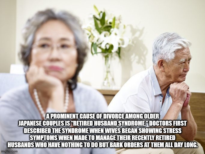 A Prominent Cause Of Divorce Among Older Japanese Couples Is "Retired Husband Syndrome." Doctors First Described The Syndrome When Wives Began Showing Stress Symptoms When Made To Manage Their Recently Retired Husbands Who Have Nothing To Do But Bark…