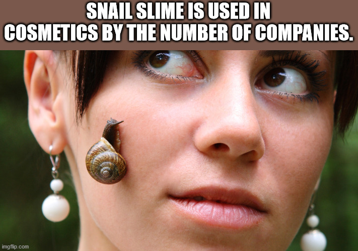 beauty - Snail Slime Is Used In Cosmetics By The Number Of Companies. imgflip.com