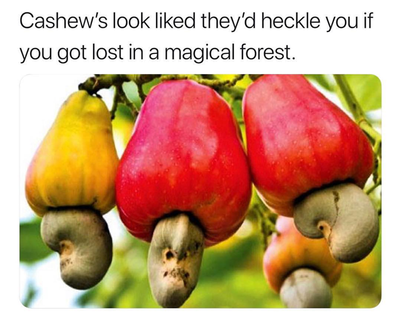 cashew nut tree - Cashew's look d they'd heckle you if you got lost in a magical forest.