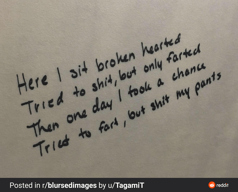 handwriting - Tried to fart, but shit my pants Here I sit broken hearted Tried to shit, but only farted Then one day I took a chance Posted in rblursedimages by uTagamit reddit