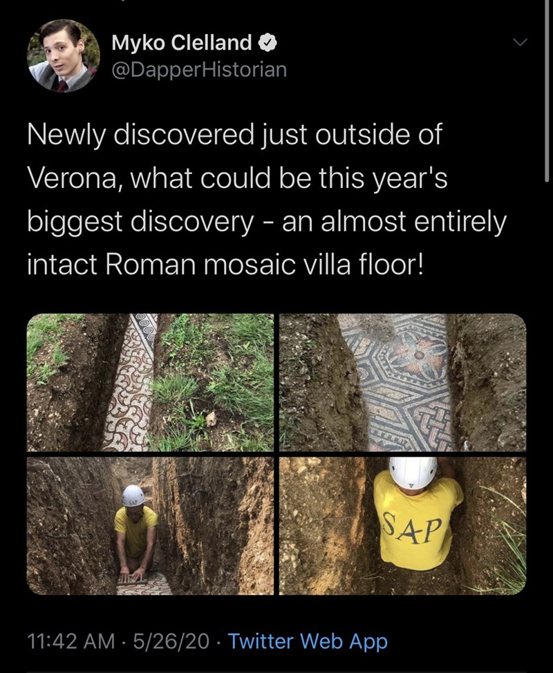tree - Myko Clelland Historian Newly discovered just outside of Verona, what could be this year's biggest discovery an almost entirely intact Roman mosaic villa floor! Sap 52620 Twitter Web App