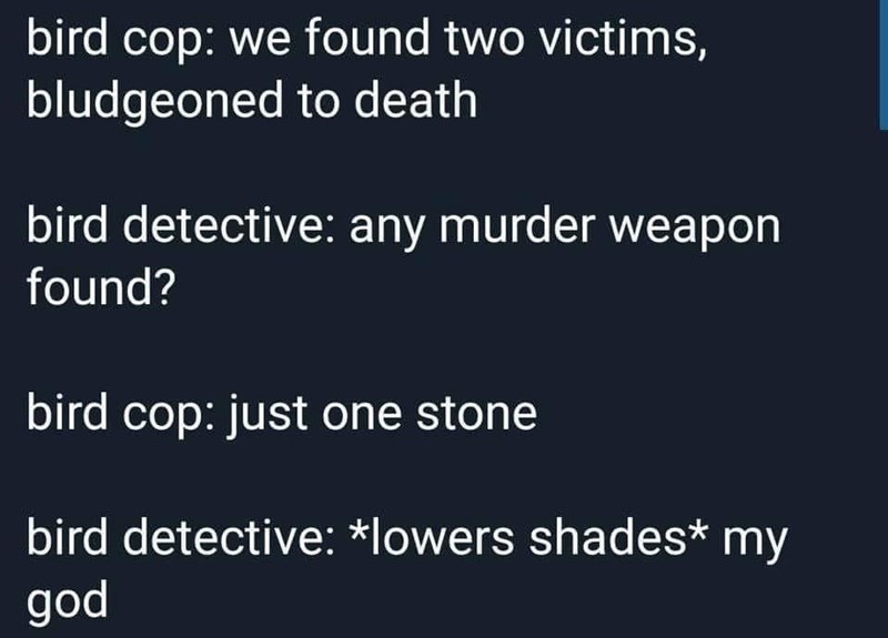 presentation - bird cop we found two victims, bludgeoned to death bird detective any murder weapon found? bird cop just one stone bird detective lowers shades my god