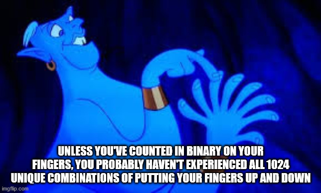 cartoon - Unless You Ve Counted In Binary On Your Fingers, You Probably Haven'T Experienced All 1024 Unique Combinations Of Putting Your Fingers Up And Down imgflip.com