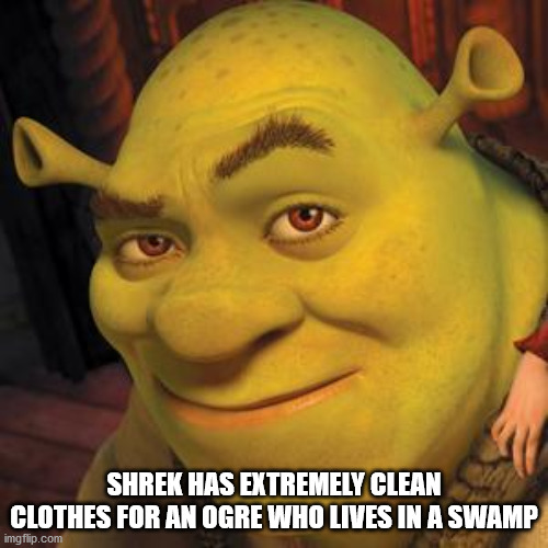 shrek forever after - Shrek Has Extremely Clean Clothes For An Ogre Who Lives In A Swamp imgflip.com