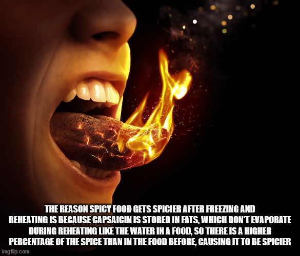burning tongue - The Reason Spicy Food Gets Spicier After Freezing And Reheating Is Because Capsaicin Is Stored In Fats, Which Dont Evaporate During Reheating The Water In A Food, So There Is A Higher Percentage Of The Spice Than In The Food Before, Causi