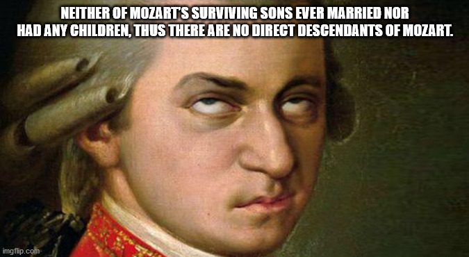 wolfgang amadeus mozart - Neither Of Mozarts Surviving Sons Ever Married Nor Had Any Children, Thus There Are No Direct Descendants Of Mozart. imgflip.com