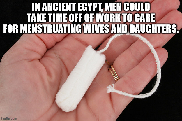 used tampon - In Ancient Egypt, Men Could Take Time Off Of Work To Care For Menstruating Wives And Daughters. imgflip.com