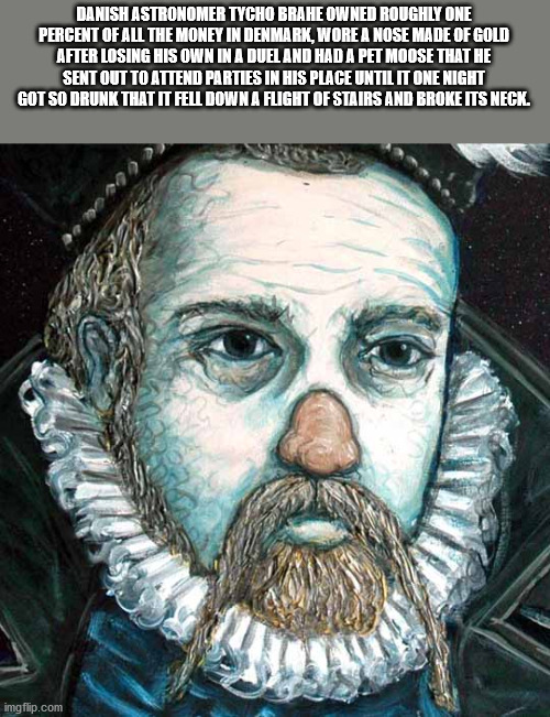 Danish Astronomer Tycho Brahe Owned Roughly One Percent Of All The Money In Denmark, Wore A Nose Made Of Gold After Losing His Own In A Duel And Had A Pet Moose That He Sent Out To Attend Parties In His Place Until It One Night Got So Drunk That It Fell…