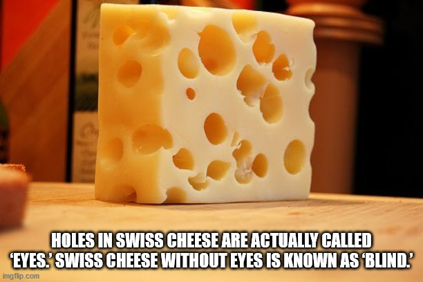 swiss cheese - Holes In Swiss Cheese Are Actually Called "Eyes. Swiss Cheese Without Eyes Is Known As Blind. imgflip.com