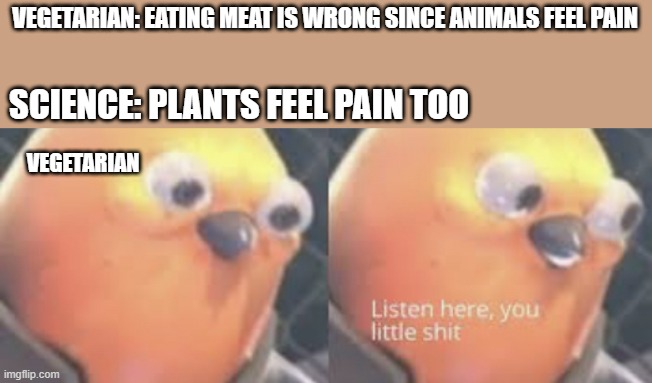 listen here you little mom - Vegetarian Eating Meat Is Wrong Since Animals Feel Pain Science Plants Feel Pain Too Vegetarian Listen here, you little shit imgflip.com