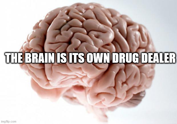 scumbag brain - The Brain Is Its Own Drug Dealer imgflip.com