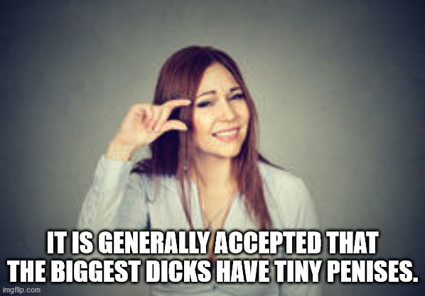 stone computers - It Is Generally Accepted That The Biggest Dicks Have Tiny Penises. imgflip.com