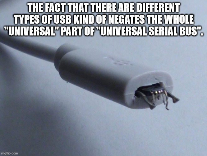 all my bitches love me - The Fact That There Are Different Types Of Usb Kind Of Negates The Whole "Universal" Part Of "Universal Serial Bus". imgflip.com