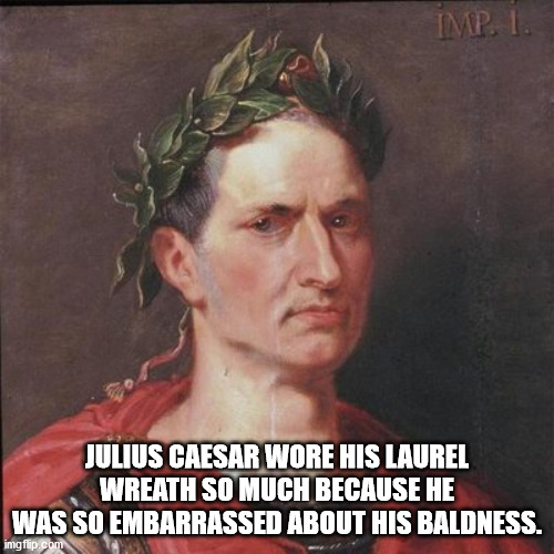 roman julius caesar - Imp. I. Julius Caesar Wore His Laurel Wreath So Much Because He Was So Embarrassed About His Baldness. imgflip.com