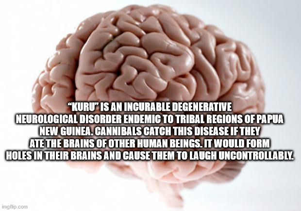 meme central - "Kuru Is An Incurable Degenerative Neurological Disorder Endemic To Tribal Regions Of Papua New Guinea. Cannibals Catch This Disease If They Ate The Brains Of Other Human Beings. It Would Form Holes In Their Brains And Cause Them To Laugh U