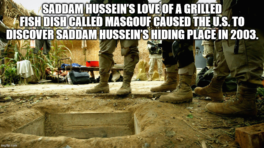 saddam hussein capture - Saddam Hussein'S Love Of A Grilled Fish Dish Called Masgouf Caused The U.S. To Discover Saddam Hussein'S Hiding Place In 2003. imgflip.com