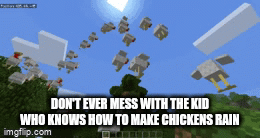 minecraft chicken gif - Don'T Ever Mess With The Kid Who Knows How To Make Chickens Rain imgflip.com