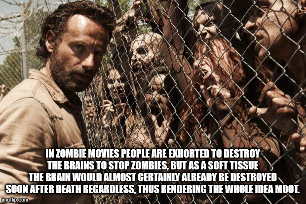 In Zombie Movies People Are Exhorted To Destroy The Brains To Stop Zombies, But As A Soft Tissue The Brain Would Almost Certainly Already Be Destroyed Soon After Death Regardless, Thus Rendering The Whole Idea Moot.