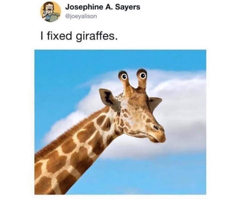 fixed giraffes - Josephine A. Sayers I fixed giraffes.