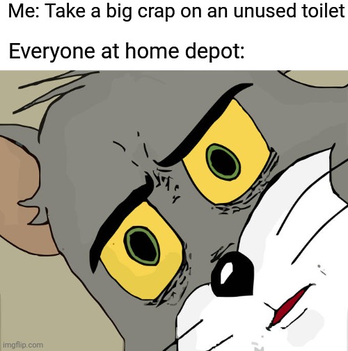 just like the simulations meme - Me Take a big crap on an unused toilet Everyone at home depot imgflip.com