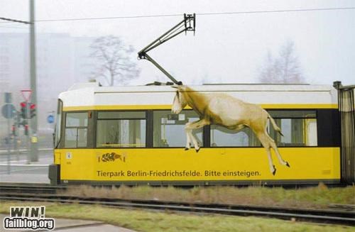 creative tram advertising