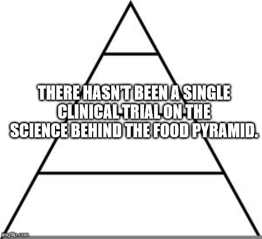 atlanta falcons - There Hasnt Been A Single Clinical Trial On The Science Behind The Food Pyramid. imgflip.com