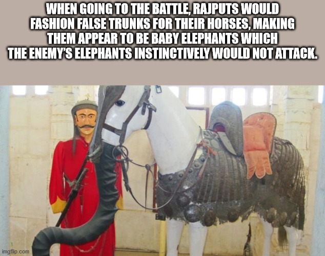 human behavior - When Going To The Battle, Rajputs Would Fashion False Trunks For Their Horses, Making Them Appear To Be Baby Elephants Which The Enemy'S Elephants Instinctively Would Not Attack. imgflip.com