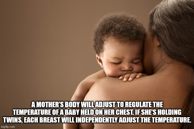 photo caption - A Mother'S Body Will Adjust To Regulate The Temperature Of A Baby Held On Her Chest. If She'S Holding Twins, Each Breast Will Independently Adjust The Temperature. imgflip.com