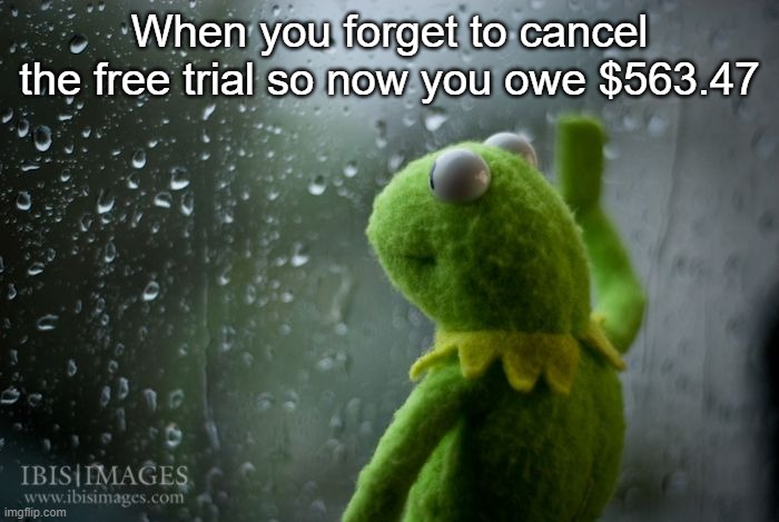 kermit meme - When you forget to cancel the free trial so now you owe $563.47 Ibis Images imgflip.com