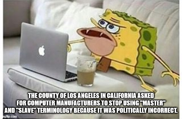 The County Of Los Angeles In California Asked For Computer Manufacturers To Stop Using master and slave terminology because it was politically incorrect