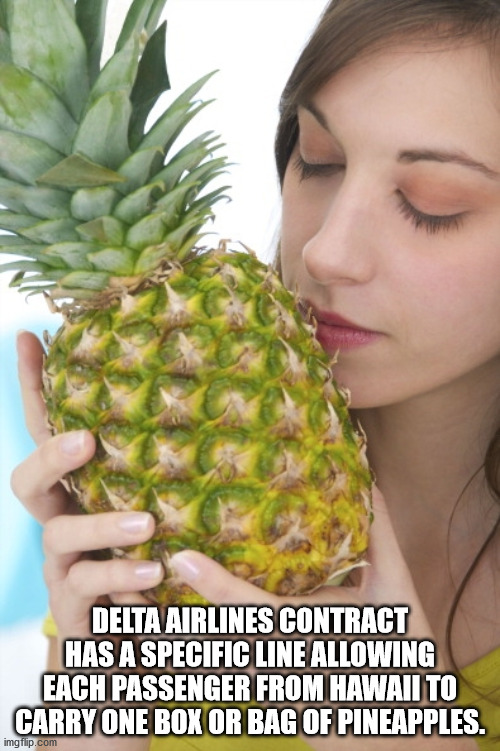 Delta Airlines Contract Has A Specific Line Allowing Each Passenger From Hawaii To Carry One Box Or Bag Of Pineapples.
