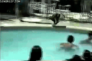 funny monkey in pool gif - Senorgif.Com