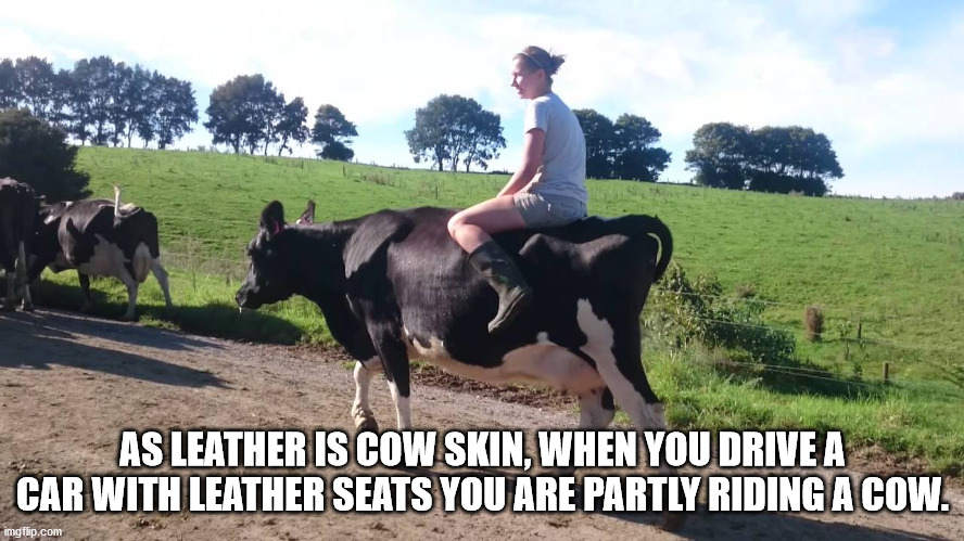 Shower Thoughts for Thursday