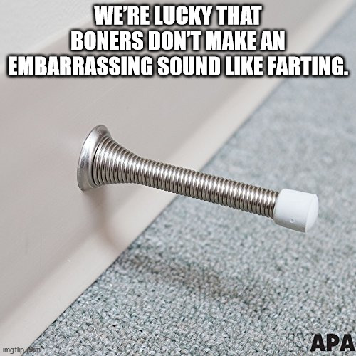 Shower Thoughts for Thursday