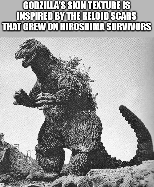 grumpy cat vs godzilla - Godzilla'S Skin Texture Is Inspired By The Keloid Scars That Grew On Hiroshima Survivors imguu som