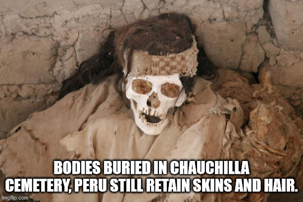 photo caption - Bodies Buried In Chauchilla Cemetery, Peru Still Retain Skins And Hair. imgflip.com