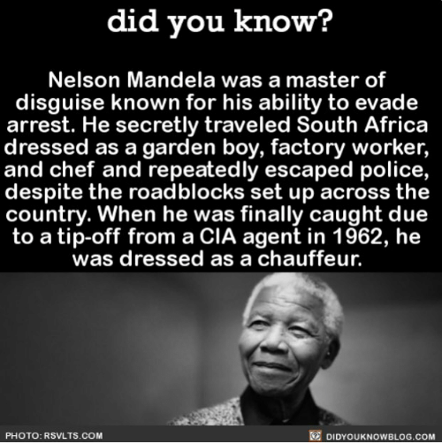 human behavior - did you know? Nelson Mandela was a master of disguise known for his ability to evade arrest. He secretly traveled South Africa dressed as a garden boy, factory worker, and chef and repeatedly escaped police, despite the roadblocks set up 