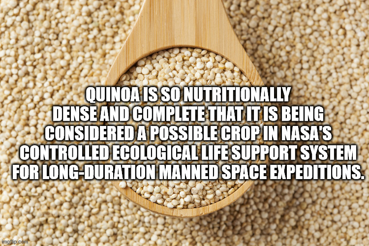 banta fanta - Quinoa Is So Nutritionally Dense And Complete That It Is Being Considered A Possible Crop In Nasa'S Controlled Ecological Life Support System For LongDuration Manned Space Expeditions. imgflip.com