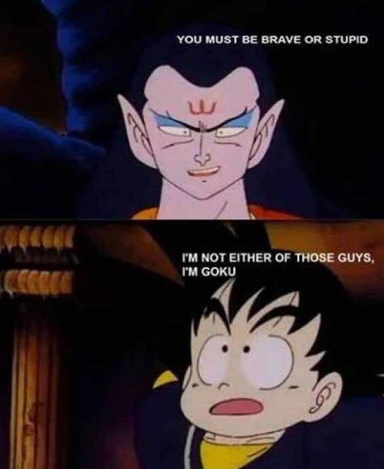 You Must Be Brave Or Stupid I'M Not Either Of Those Guys, I'M Goku