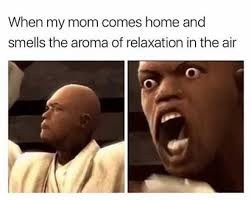creative memes - When my mom comes home and smells the aroma of relaxation in the air