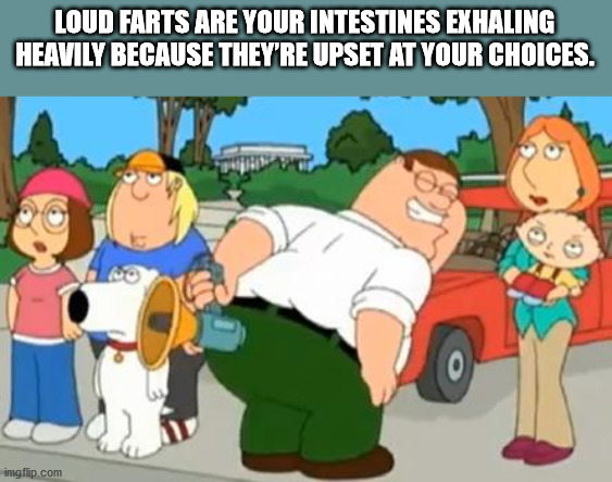 peter griffin farting - Loud Farts Are Your Intestines Exhaling Heavily Because They'Re Upset At Your Choices. imgflip.com