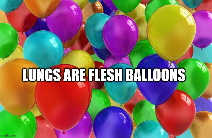 birthday balloons - Lungs Are Flesh Balloons imgflip.com