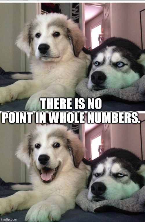 dog pun - There Is No Point In Whole Numbers imgflip.com